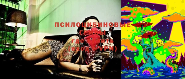 мдма Заводоуковск