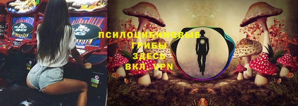 мдма Заводоуковск