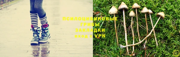 кристаллы Заволжье