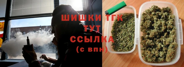 мдма Заводоуковск
