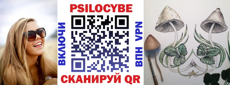 блэк спрут ссылка  Касли  Псилоцибиновые грибы Psilocybine cubensis 